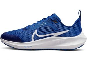 NIKE Air Zoom Pegasus 40