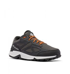 Columbia Men's Vitesse Fasttrack Waterproof Hiking Shoe