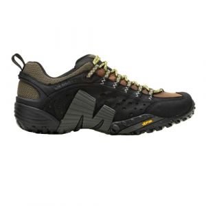 Merrell Intercept