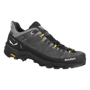 SALEWA ALP Trainer 2 GTX M