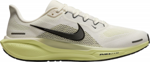 Pegasus 41