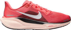 Pegasus 41