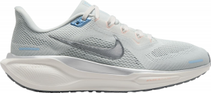 Pegasus 41