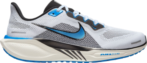 Pegasus 41