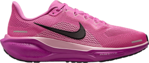 Pegasus 41