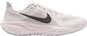 Pegasus 41