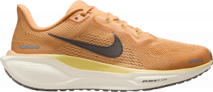 Pegasus 41