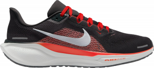 Pegasus 41