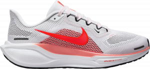 Pegasus 41