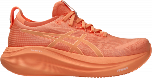 GEL-NIMBUS 27 LITE-SHOW